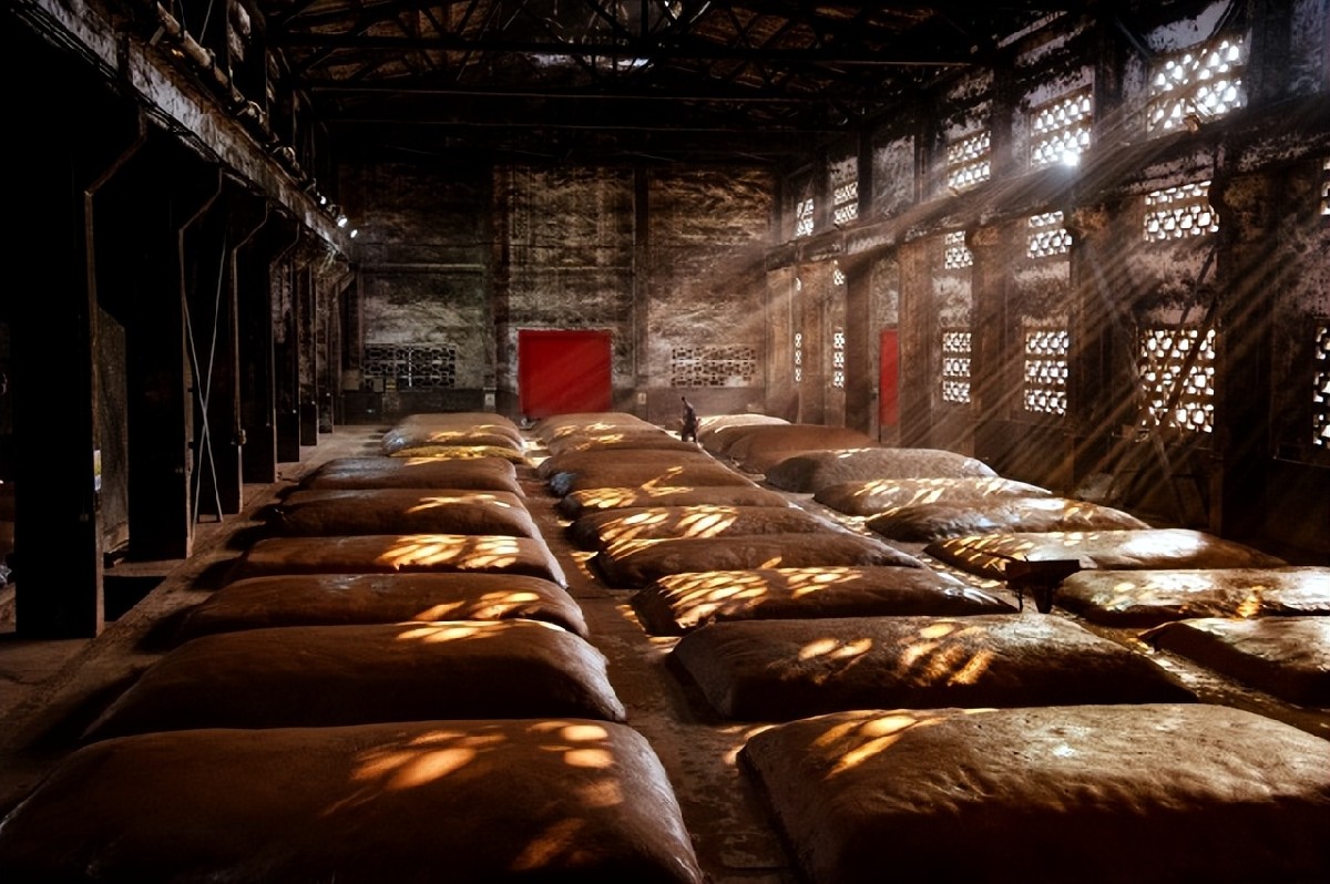 品质与技艺的双重邂逅——国窖窖池群巡礼