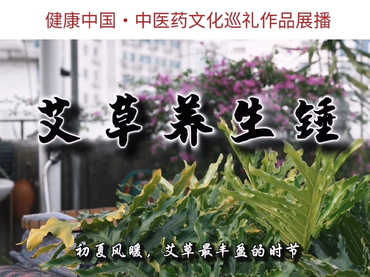 文化巡礼作品展——艾草养生锤