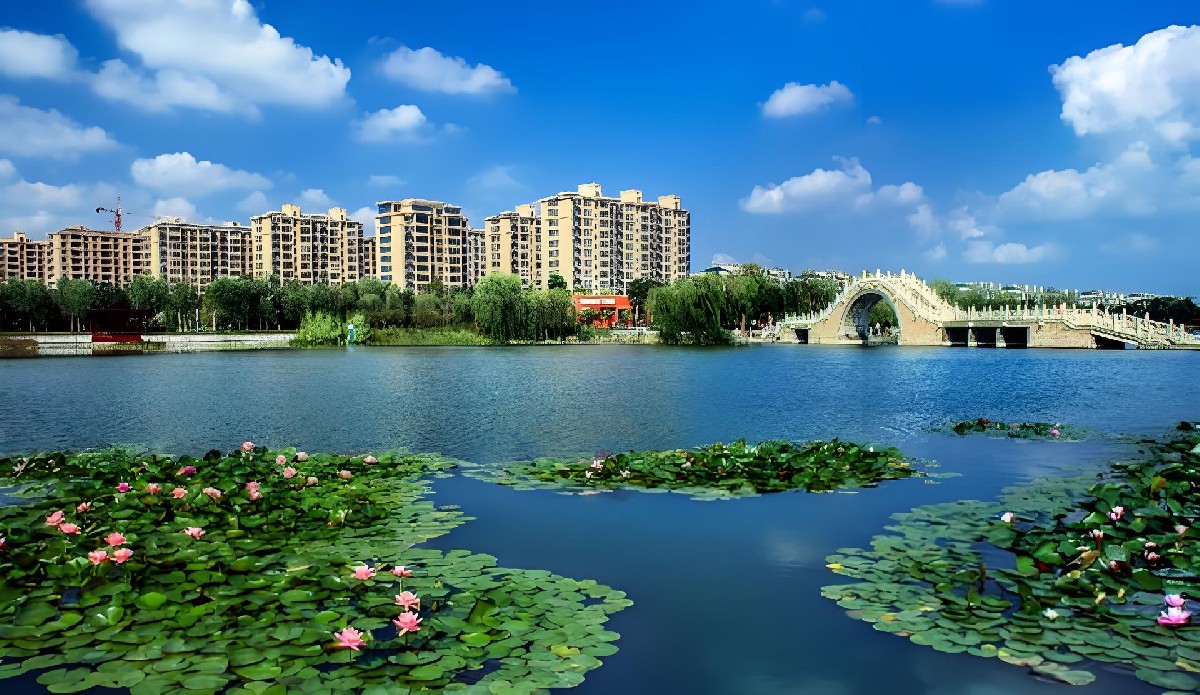 山东淄博桓台县将中医药元素融入乡村文旅—— 中医药成乡村旅游“新名片”